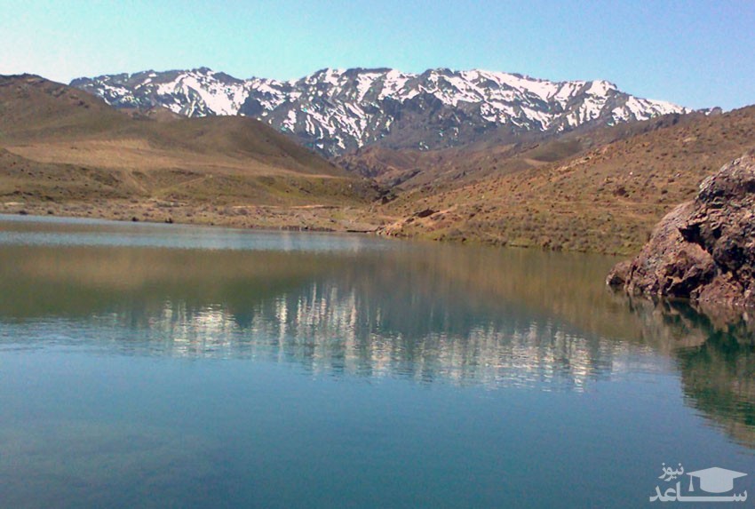 چشمه زرد کردیان