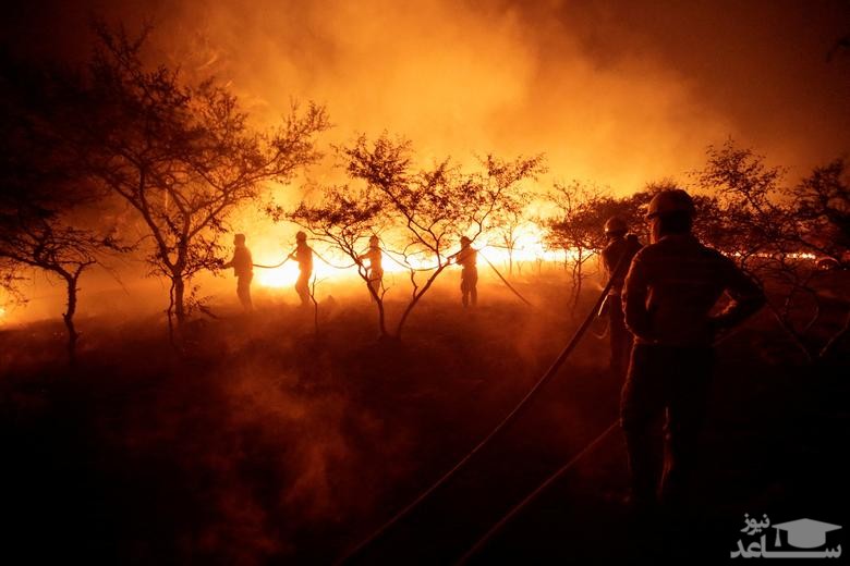 آتش نشان ها در حال خاموش کردن آتش سوزی جنگلی در پاراگوئه/ رویترز