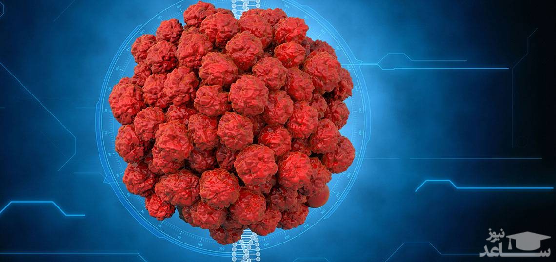 زگیل تناسلی