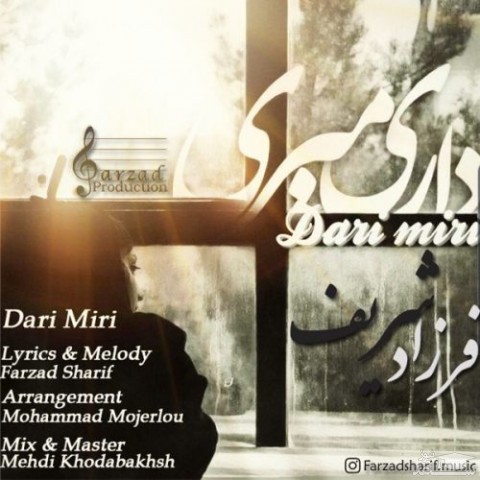 دانلود آهنگ داری میری از فرزاد شریف