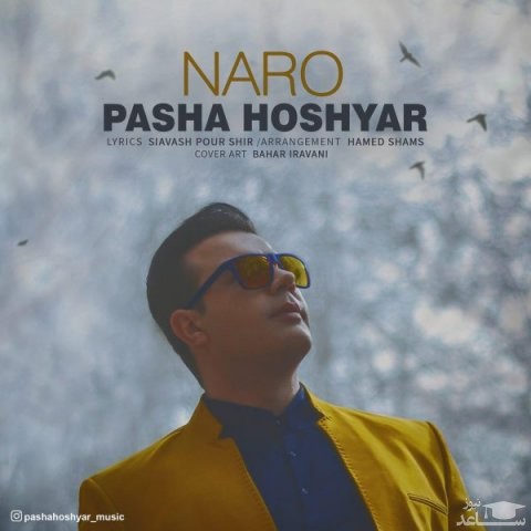 دانلود آهنگ نرو از پاشا هوشیار