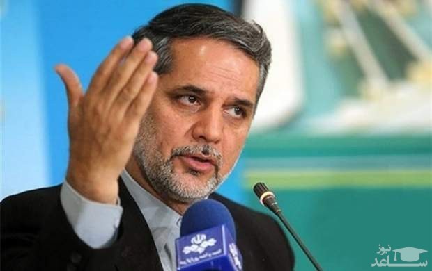 نقوی‌حسینی: دولت انگیزه کار ندارد