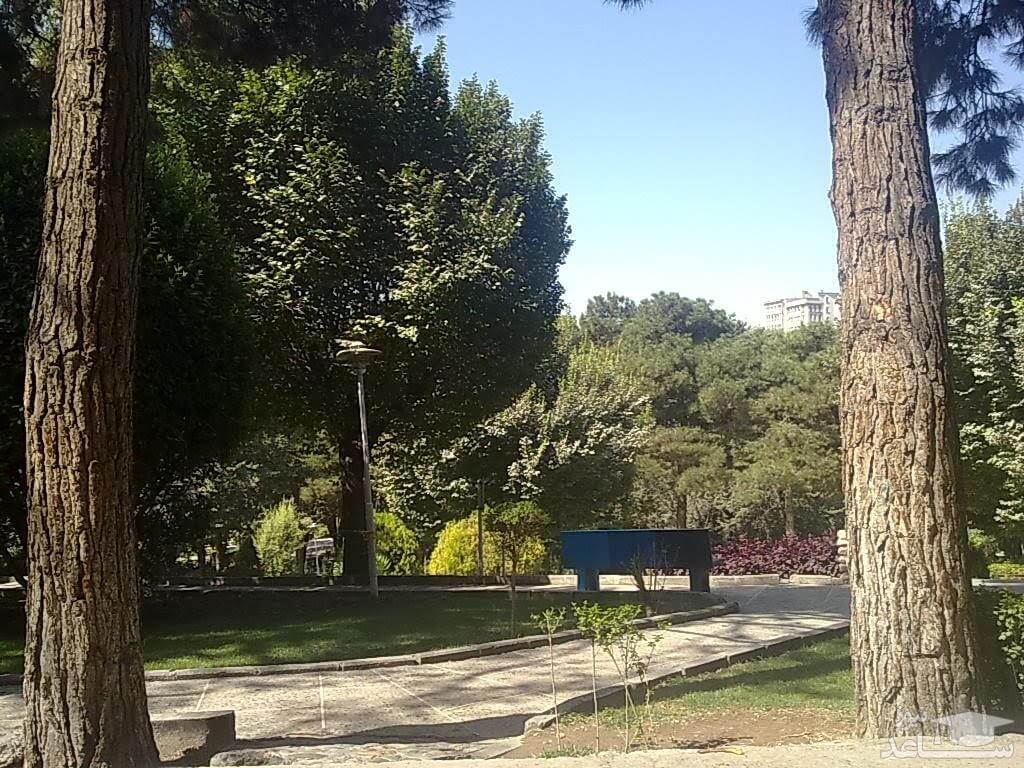 پارک ساعی تهران