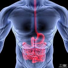 میزان مصرف، تاثیرات و مکانیزم اثر  کلیدینیوم سی