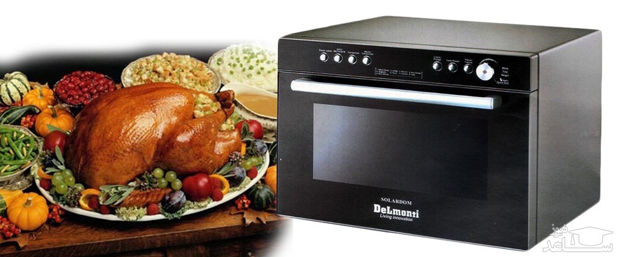 مایکروویو سولاردم دلمونتی مدل DL-530