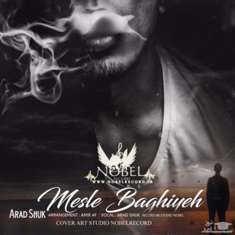 دانلود آهنگ مثل بقیه از آراد شوک