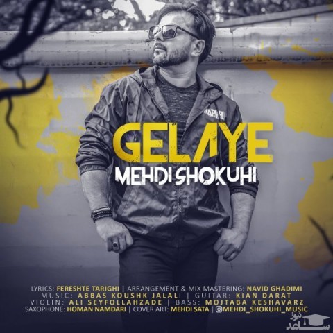 دانلود آهنگ گلایه از مهدی شکوهی