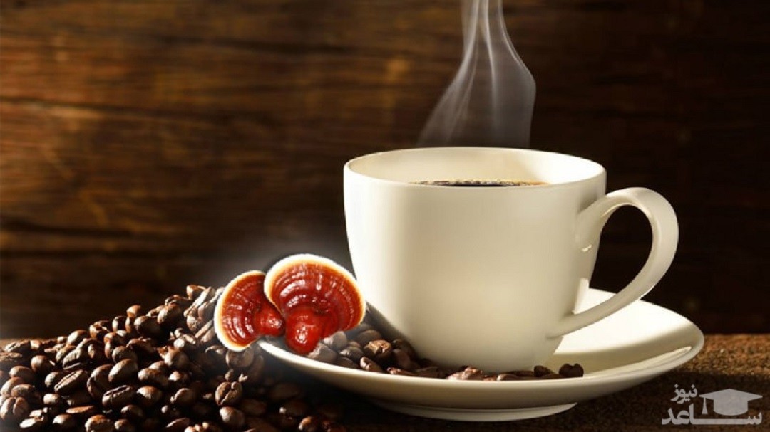 فواید و عوارض مصرف قهوه گانودرما چیست؟