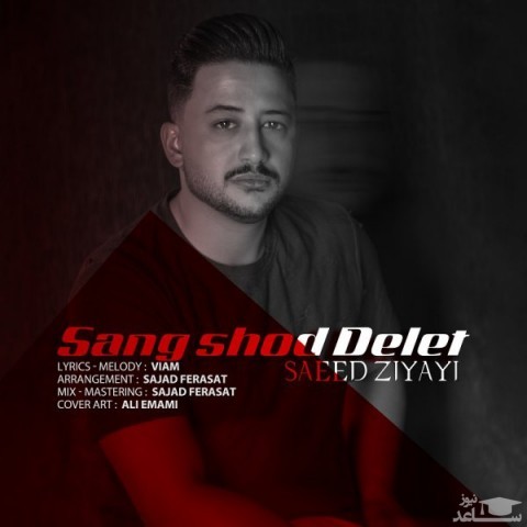 دانلود آهنگ سنگ شده دلت از سعید ضیایی