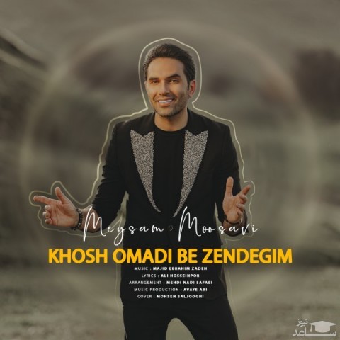 دانلود آهنگ خوش اومدی به زندگیم از میثم موسوی