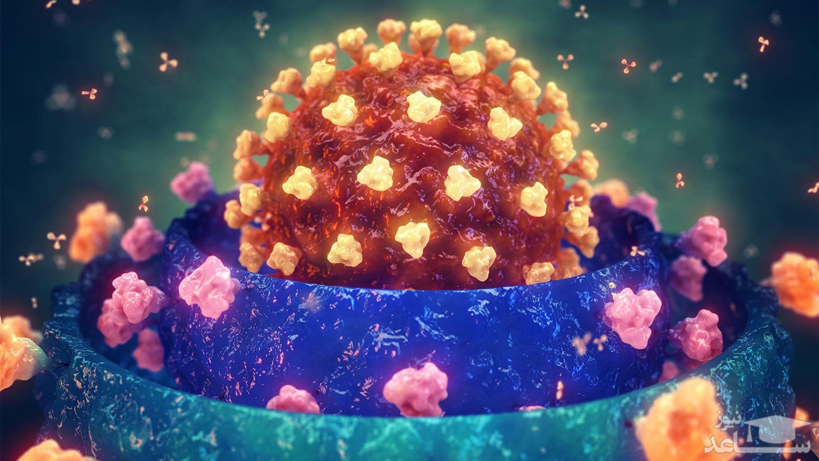 سرایت‌پذیری سویه جدید کرونا از دلتا پیشی گرفت