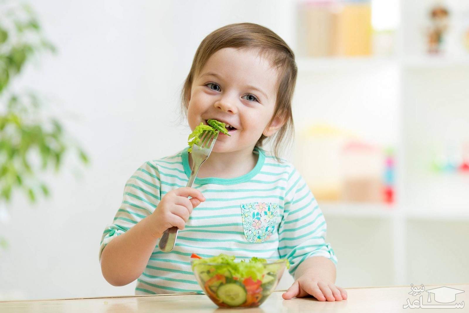 بچه ها از چه زمانی میتوانند به تنهایی غذا بخورند؟