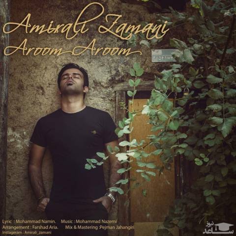 دانلود آهنگ آروم آروم از امیرعلی زمانی