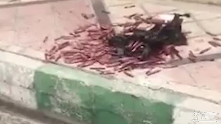 (فیلم) خون های رها شده در سطح شهر! / در شهریار فاش شد
