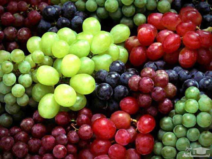 فواید و خواص انگور برای سلامتی بدن