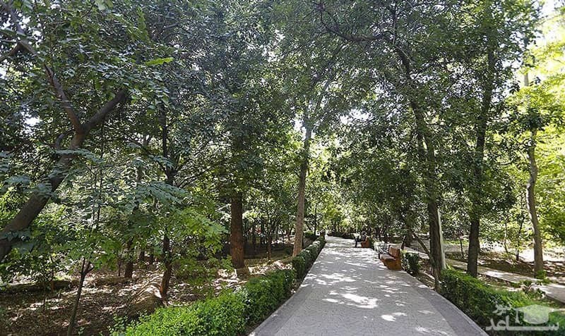  پارک قیطریه