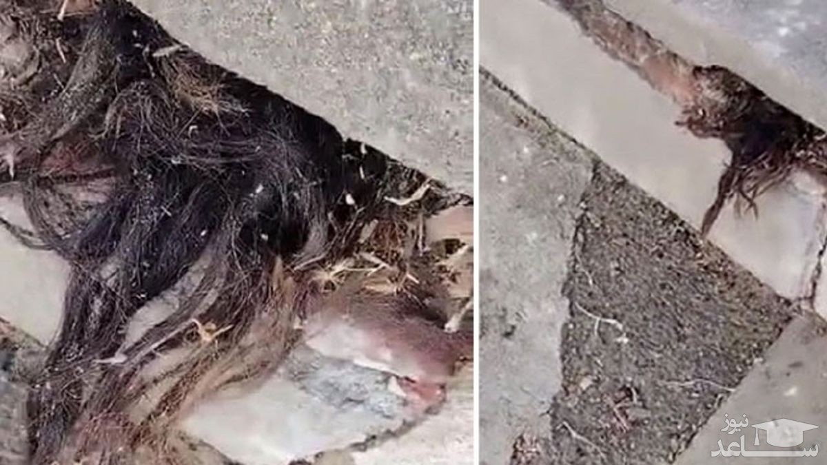 (فیلم) صحنه وحشتناک در یک قبر ۱۰۰ ساله