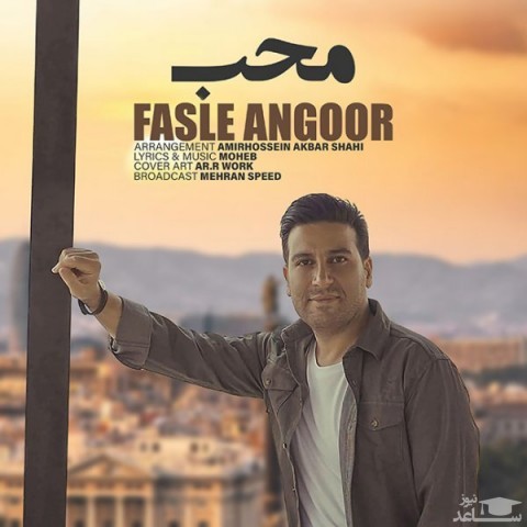 دانلود آهنگ انگور از محب