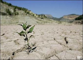 آیا دوره خشکسالی در ایران تمام شده است؟
