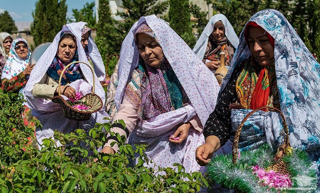 تصویر