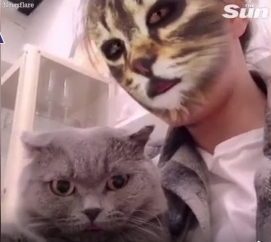 (فیلم) ویدئوی استثنایی سان از دست انداختن گربه‌ها با استفاده از نرم افزار تغییر شکل!