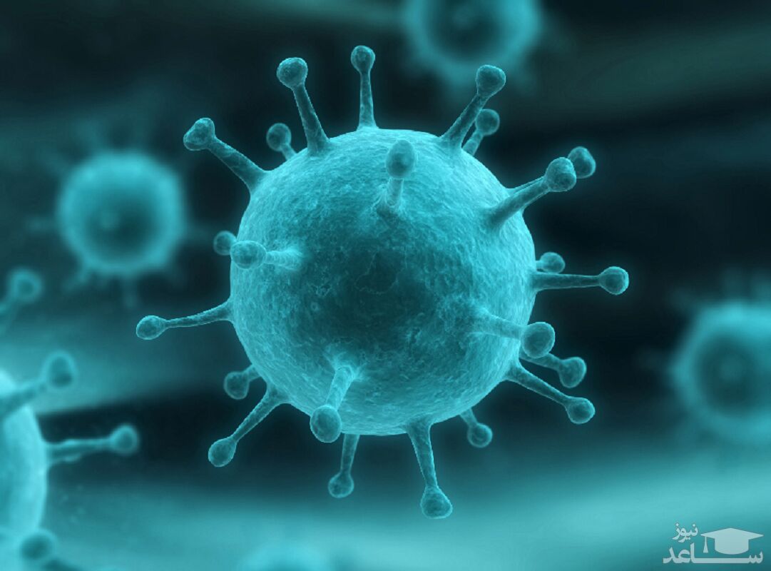 کشف یک آنتی‌بادی که سد راه کروناویروس می‌شود