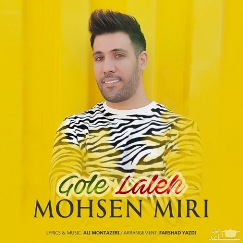 دانلود آهنگ گل لاله از محسن میری