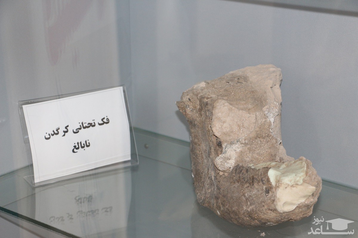 تصویر