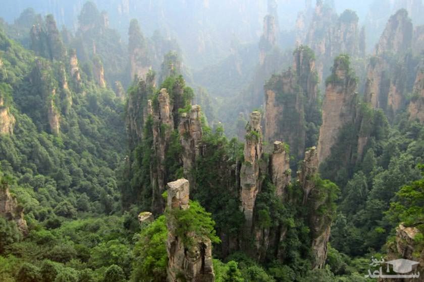 پارک ملی جنگلی ژانگجیاجی چین