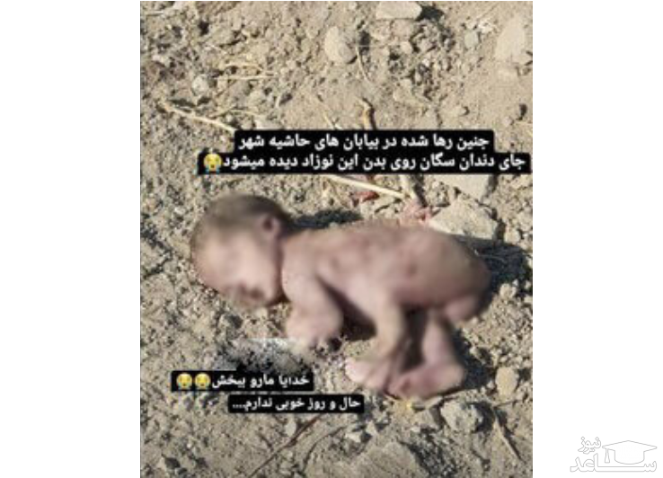 ماجرای نوزاد رهاشده در حاشیه شهر اصفهان
