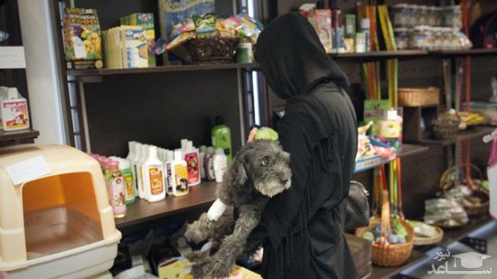 موج جدید پلمپ پِت‌شاپ‌ها در تهران