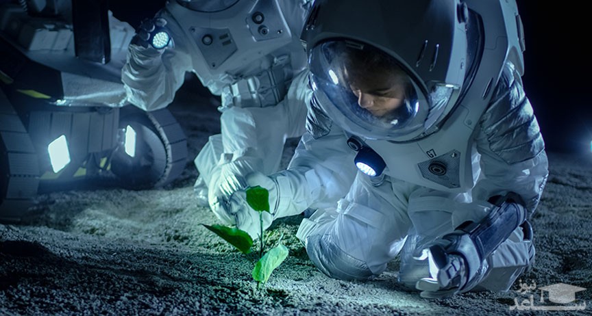 اقدامات ناسا در مورد پرورش گیاهان در فضا