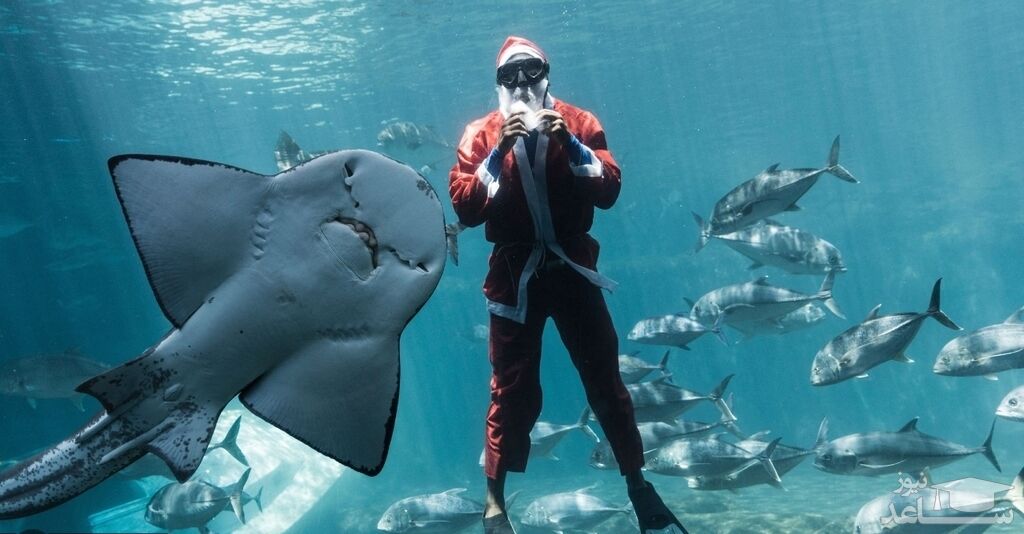 دیدنی های امروز چهارشنبه 30 آذر 1401