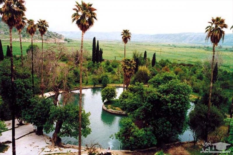 باغ چشمه بلقیس 