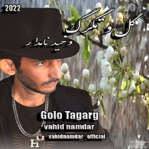 دانلود آهنگ گل و تگرگ از وحید نامدار