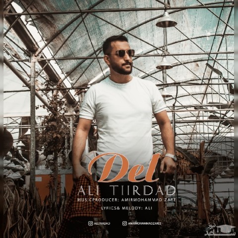 دانلود آهنگ دل از علی تیرداد