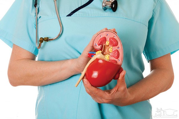 میزان مصرف، تاثیرات و مکانیزم اثر مکمل نفروویت