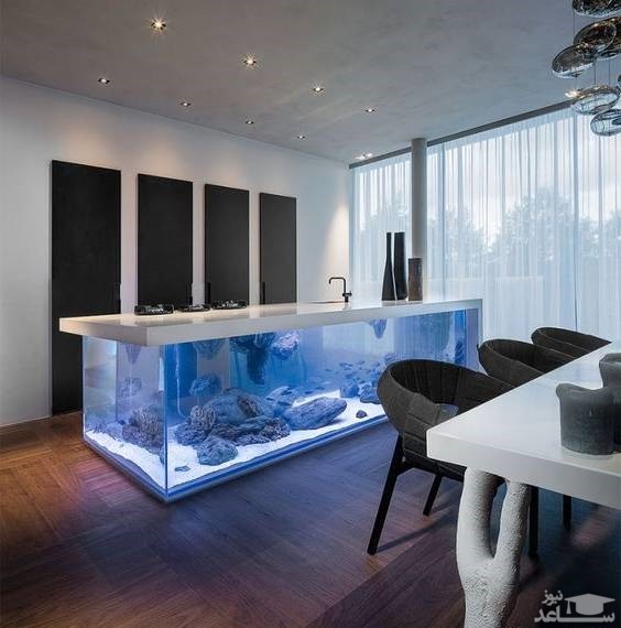 چگونه آب آکواریوم را تمیز کنیم؟