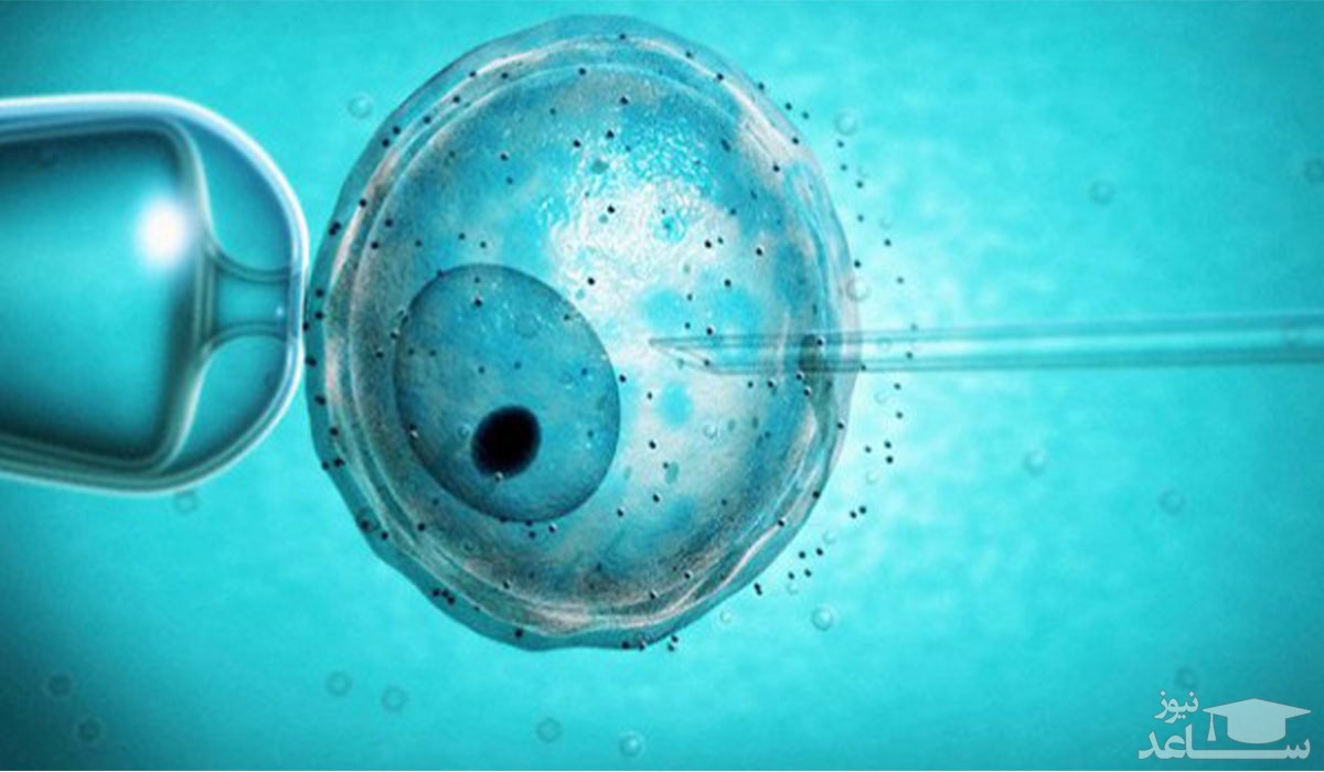 مهم ترین عواملی که میزان موفقیت IVF را تعیین می کنند