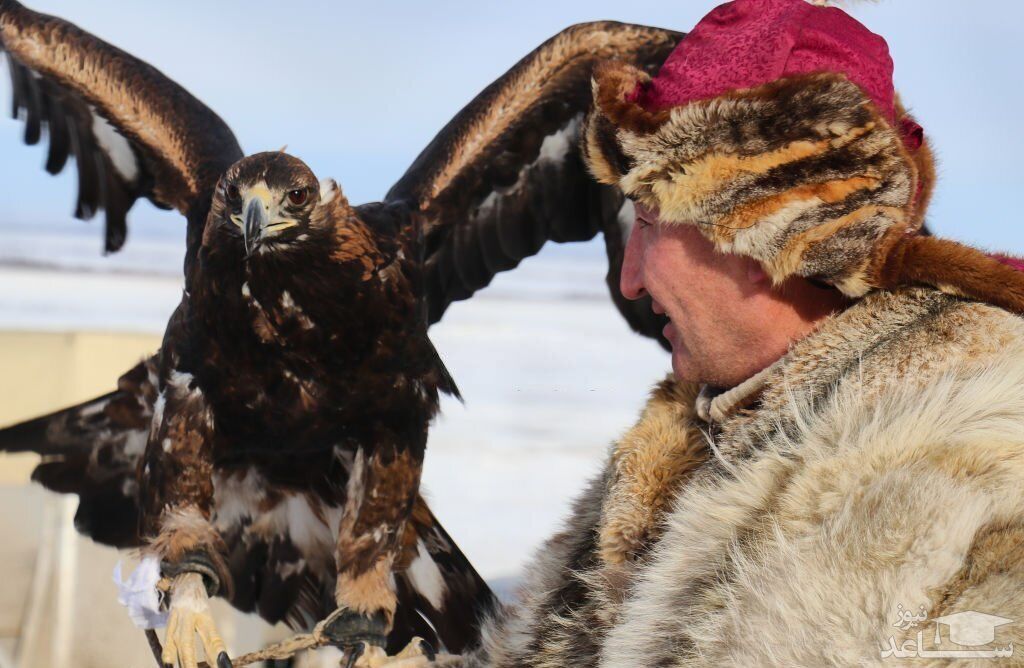 دیدنی های امروز یکشنبه 20 آذر 1401