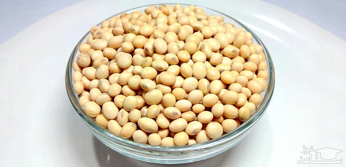 خواص سویا و نحوه مصرف آن