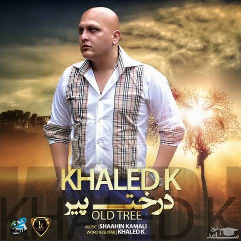 دانلود آهنگ درخت پیر از خالد