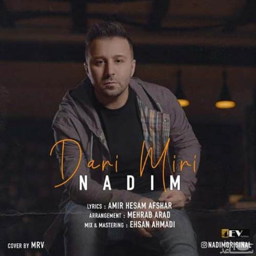 دانلود آهنگ داری میری از ندیم