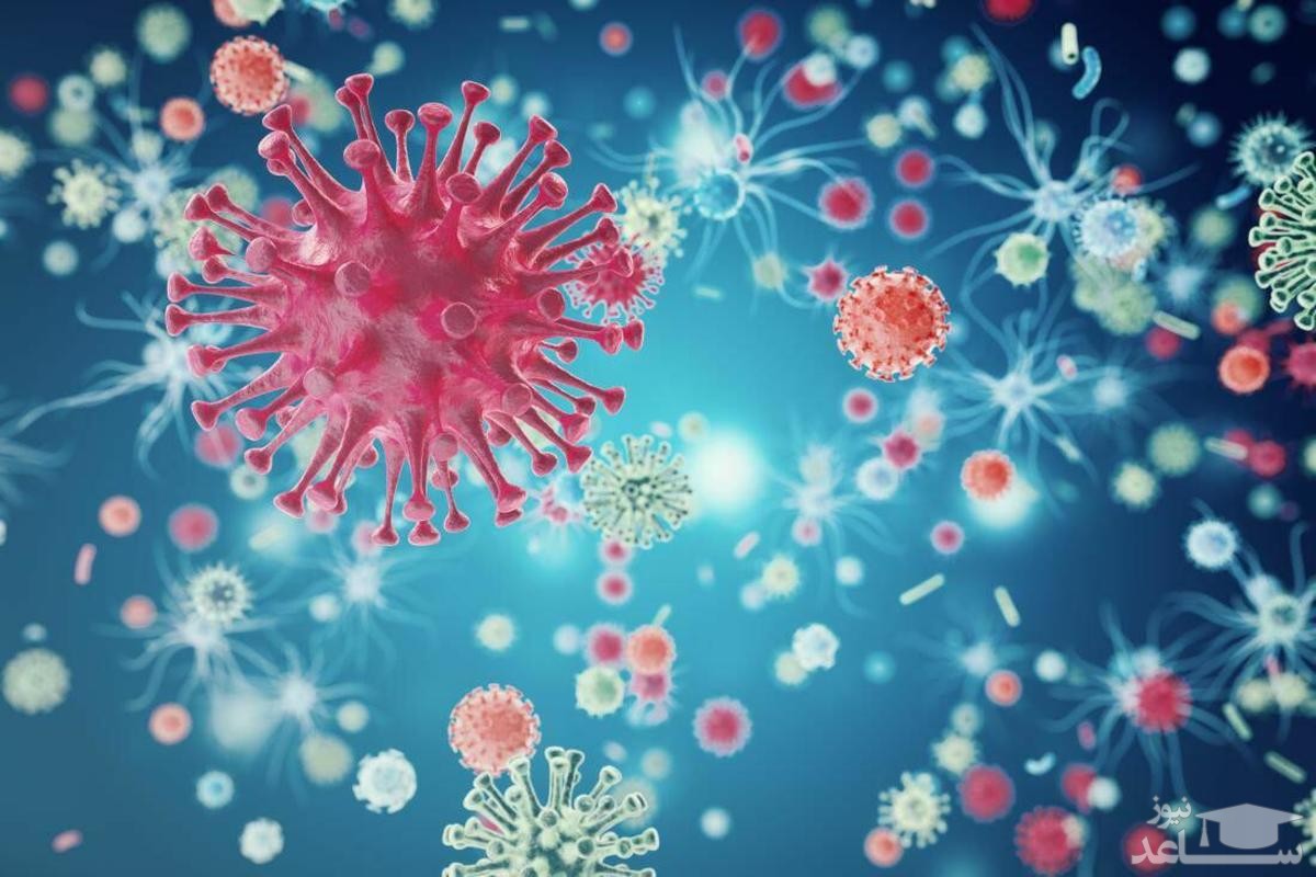 کشف داروی طبیعی برای نابودی ویروس کرونا