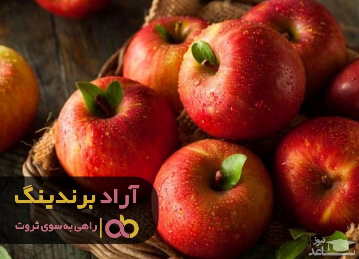 میزان افزایش قیمت سیب درختی قرمز آناناسی در سال جاری