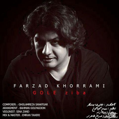 دانلود آهنگ گل زیبا از فرزاد خرمی