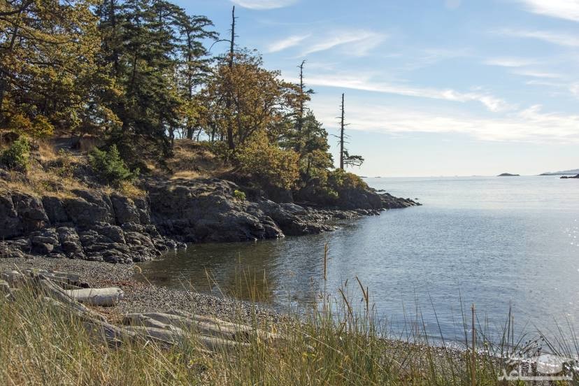 پارک نک پوینت