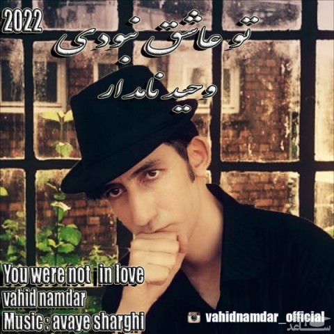 دانلود آهنگ تو عاشق نبودی از وحید نامدار