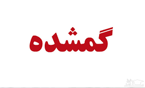 ناپدید شدن مرموز دختر ۷ ساله در خیابان نواب