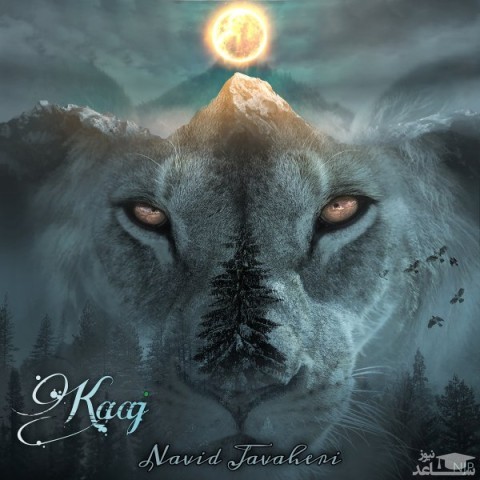 دانلود آهنگ کاج از نوید جواهری